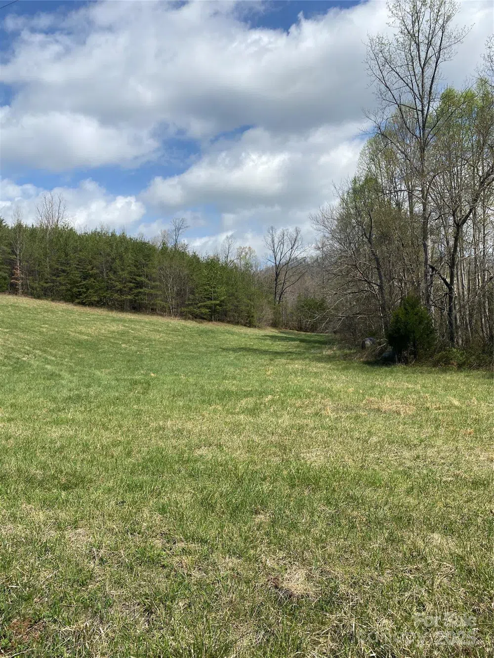 0 Cane Creek Mountain Road Bostic, NC 28018