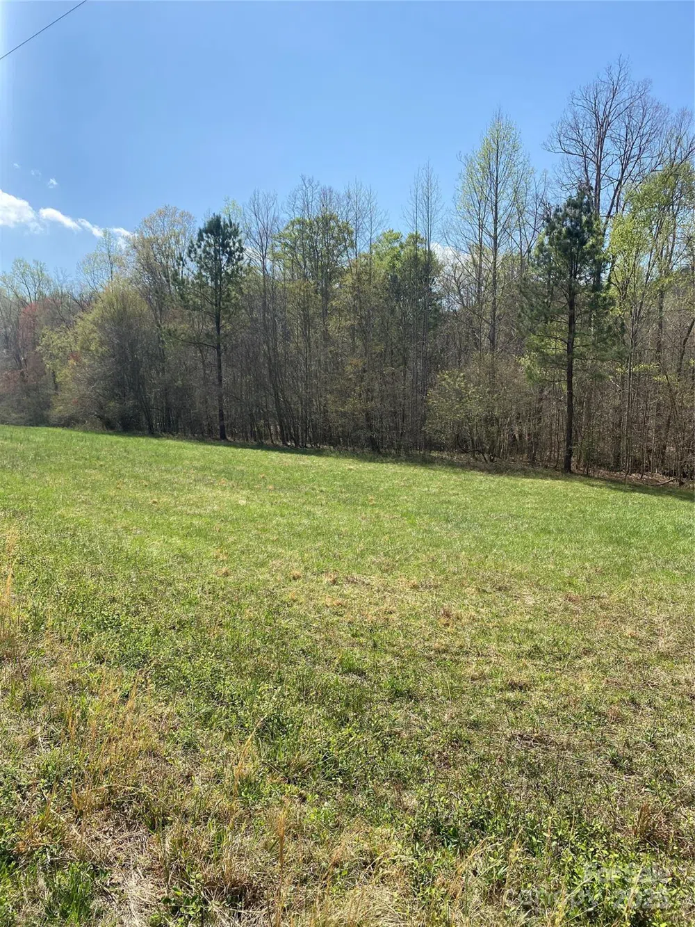 0 Cane Creek Mountain Road Bostic, NC 28018
