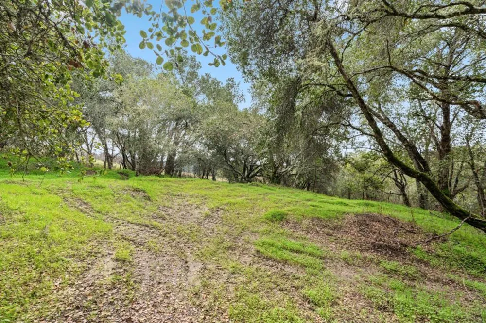 530 Apple Valley Lane Watsonville, CA 95076