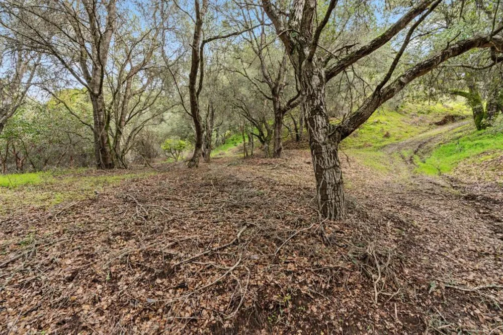 530 Apple Valley Lane Watsonville, CA 95076