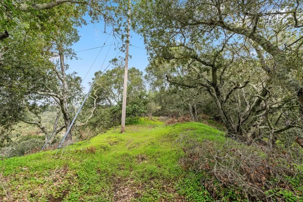 530 Apple Valley Lane Watsonville, CA 95076