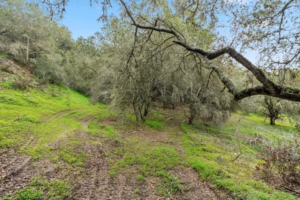 530 Apple Valley Lane Watsonville, CA 95076
