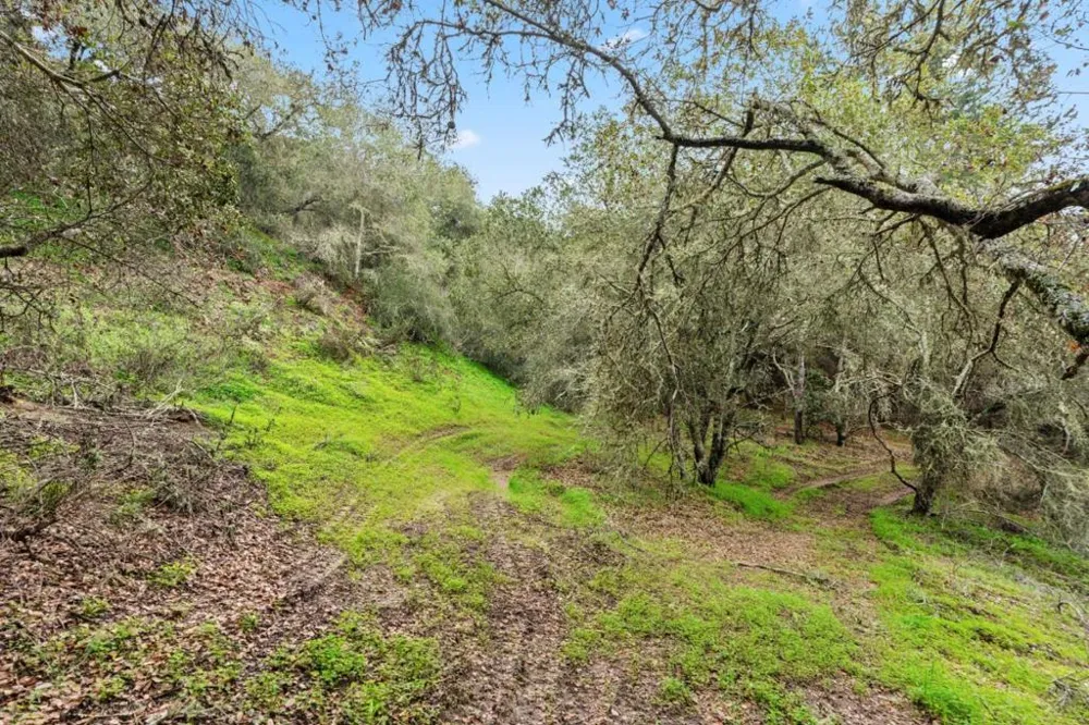 530 Apple Valley Lane Watsonville, CA 95076