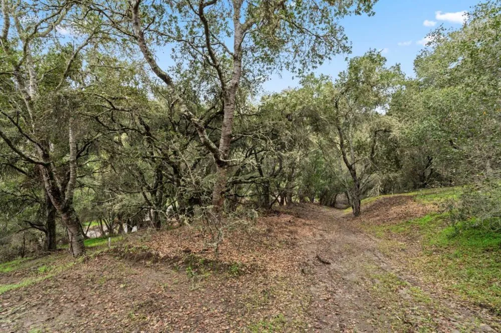 530 Apple Valley Lane Watsonville, CA 95076