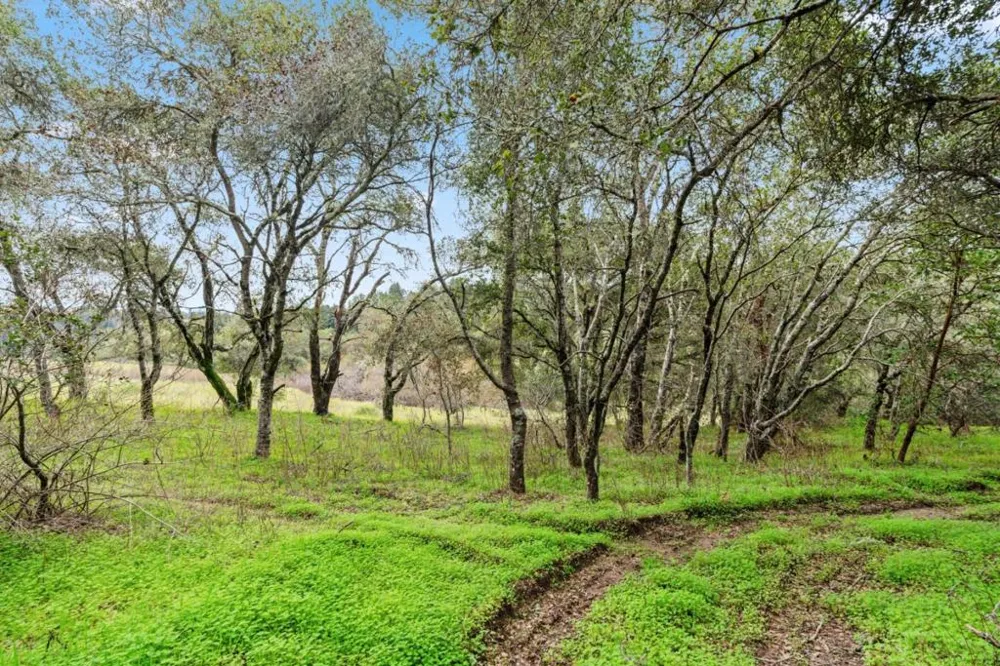 530 Apple Valley Lane Watsonville, CA 95076