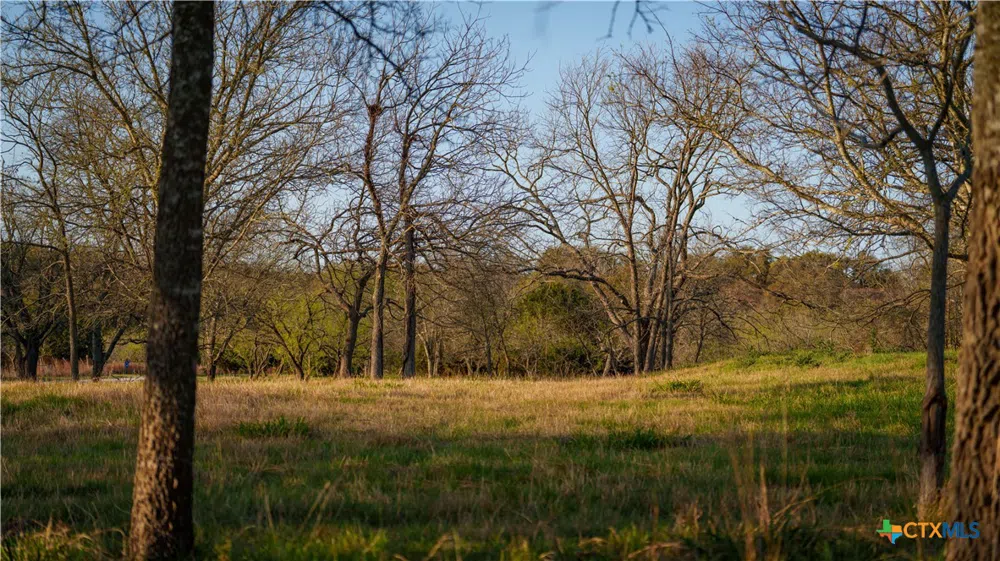 Lost Acres Loop Blanco, TX 78606