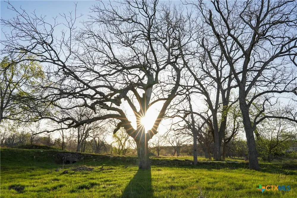 Lost Acres Loop Blanco, TX 78606
