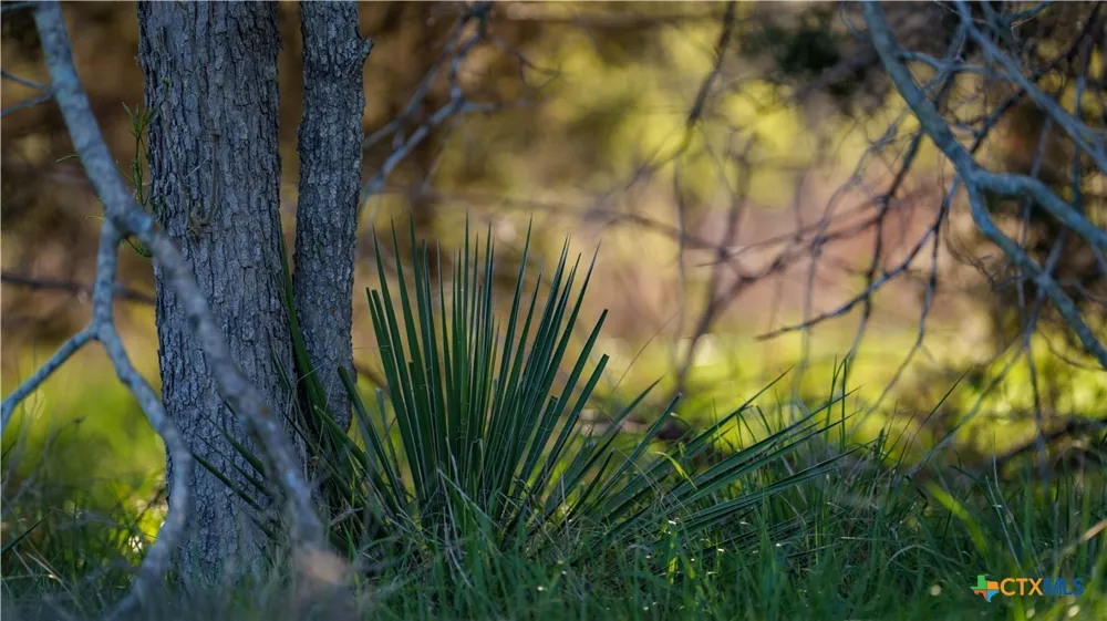 Lost Acres Loop Blanco, TX 78606