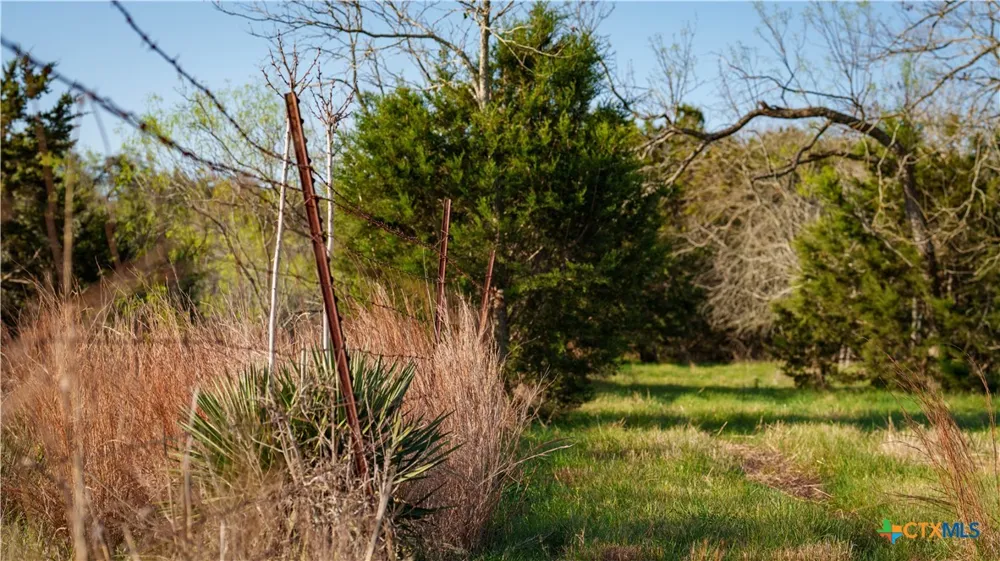 Lost Acres Loop Blanco, TX 78606