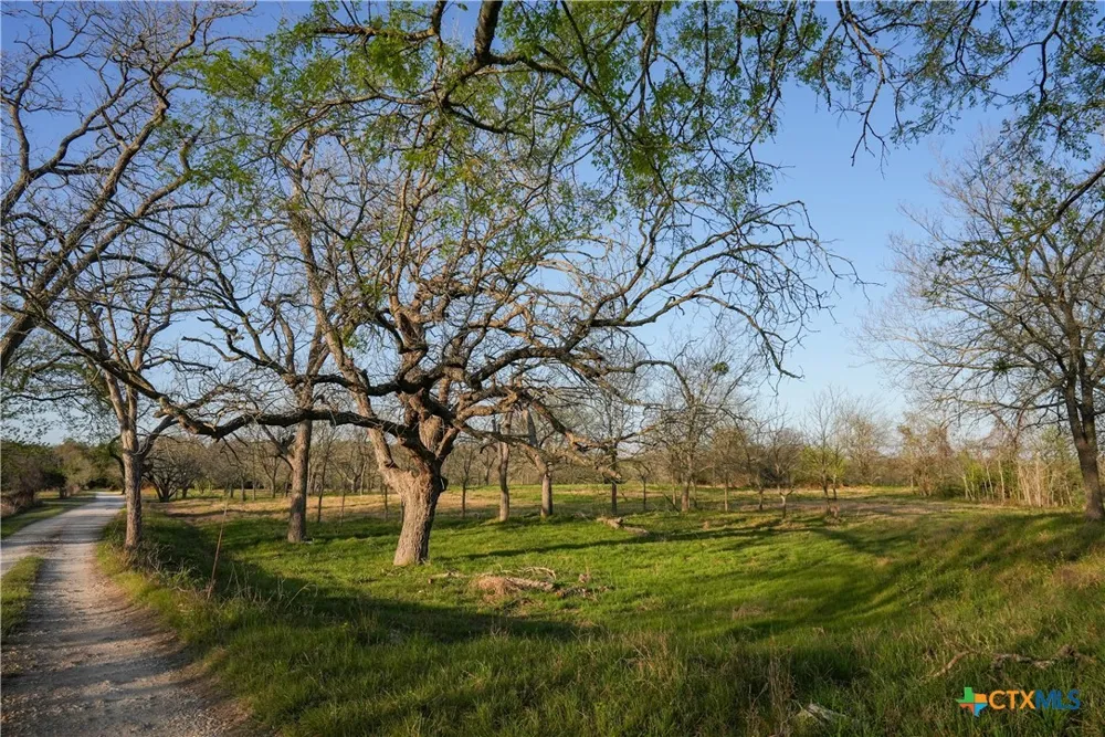 Lost Acres Loop Blanco, TX 78606