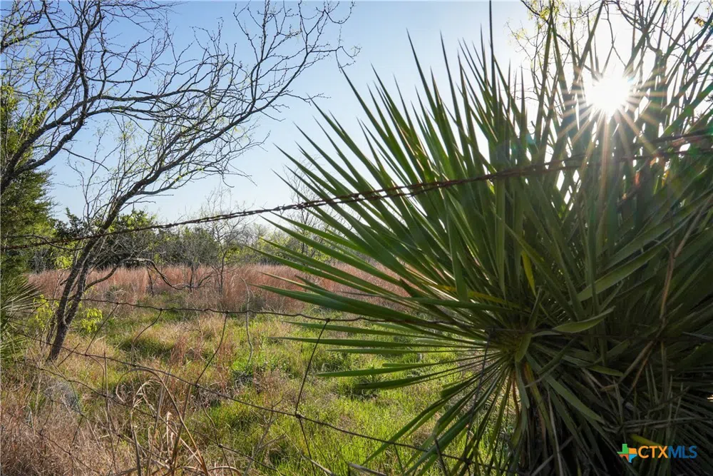 Lost Acres Loop Blanco, TX 78606