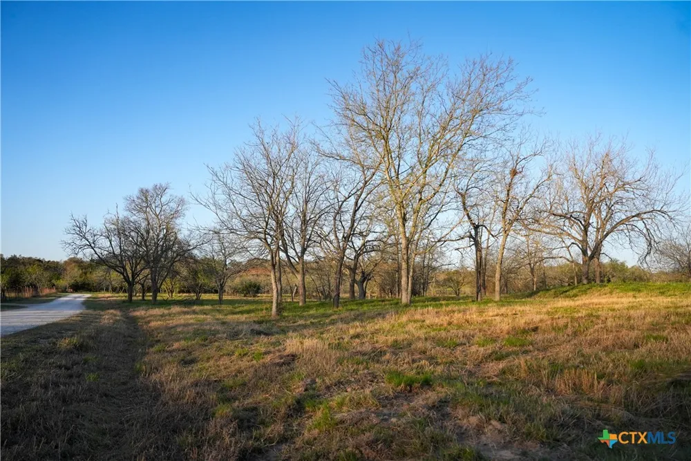 Lost Acres Loop Blanco, TX 78606