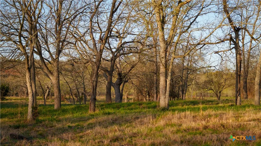 Lost Acres Loop Blanco, TX 78606