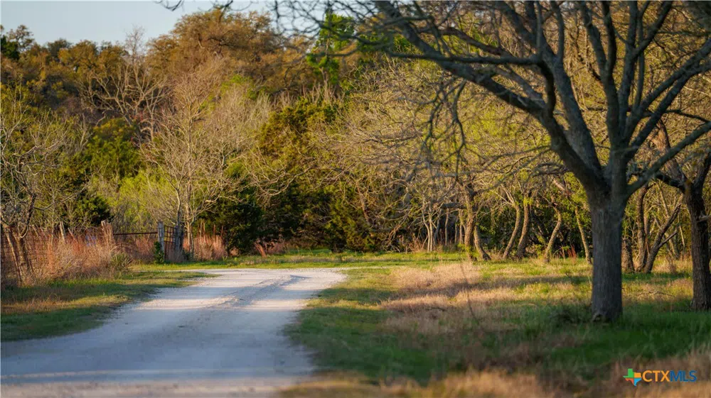 Lost Acres Loop Blanco, TX 78606