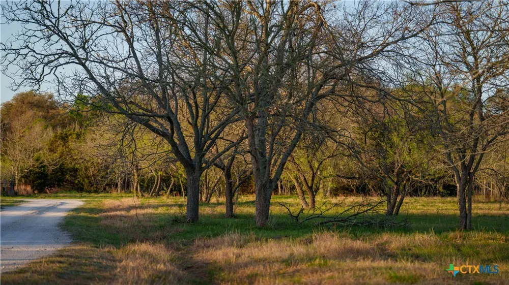 Lost Acres Loop Blanco, TX 78606