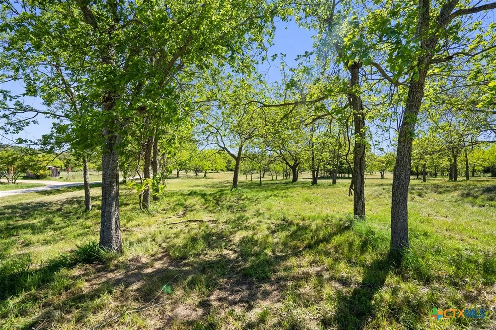 Lost Acres Loop Blanco, TX 78606