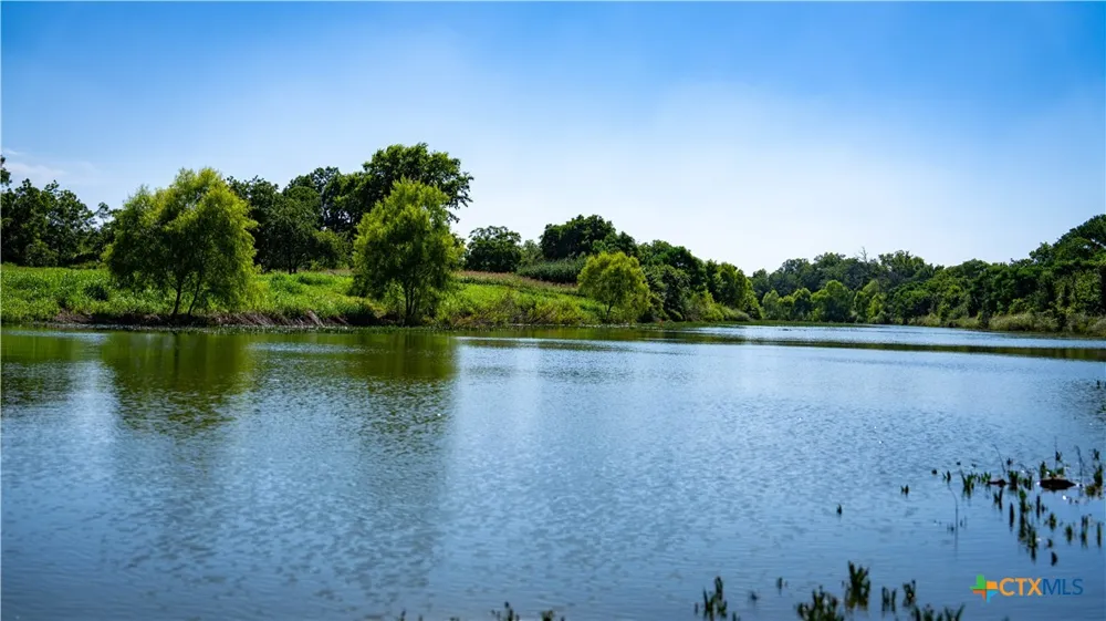 Lost Acres Loop Blanco, TX 78606