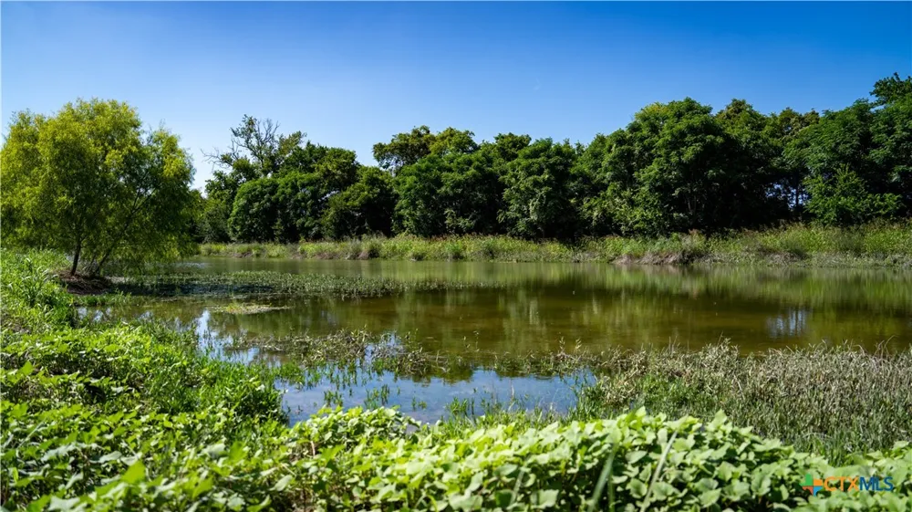 Lost Acres Loop Blanco, TX 78606