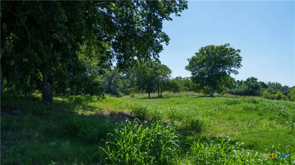 Lost Acres Loop Blanco, TX 78606