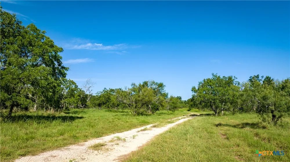 Lost Acres Loop Blanco, TX 78606