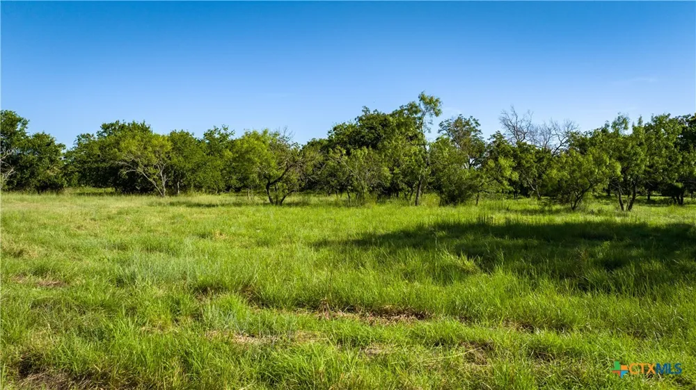 Lost Acres Loop Blanco, TX 78606