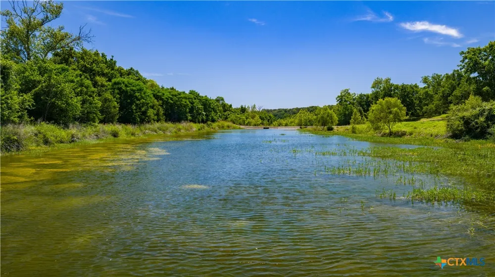 Lost Acres Loop Blanco, TX 78606