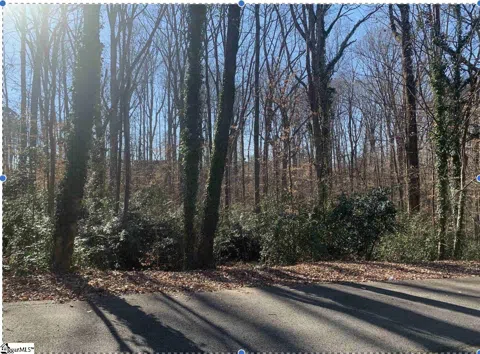 Forest Lane Drive
