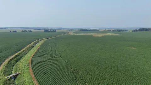 TBD County 61