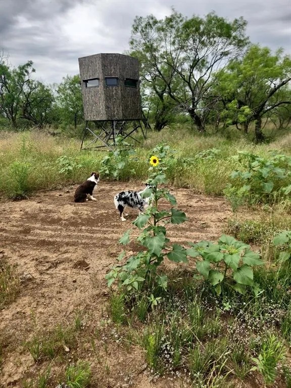 1050 County Road 258