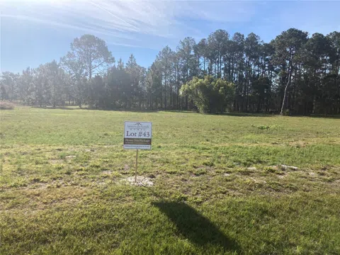 38518 WOODED MEADOW DRIVE
