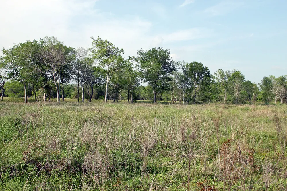 3223 Old Kelley Road Lockhart, TX 78644