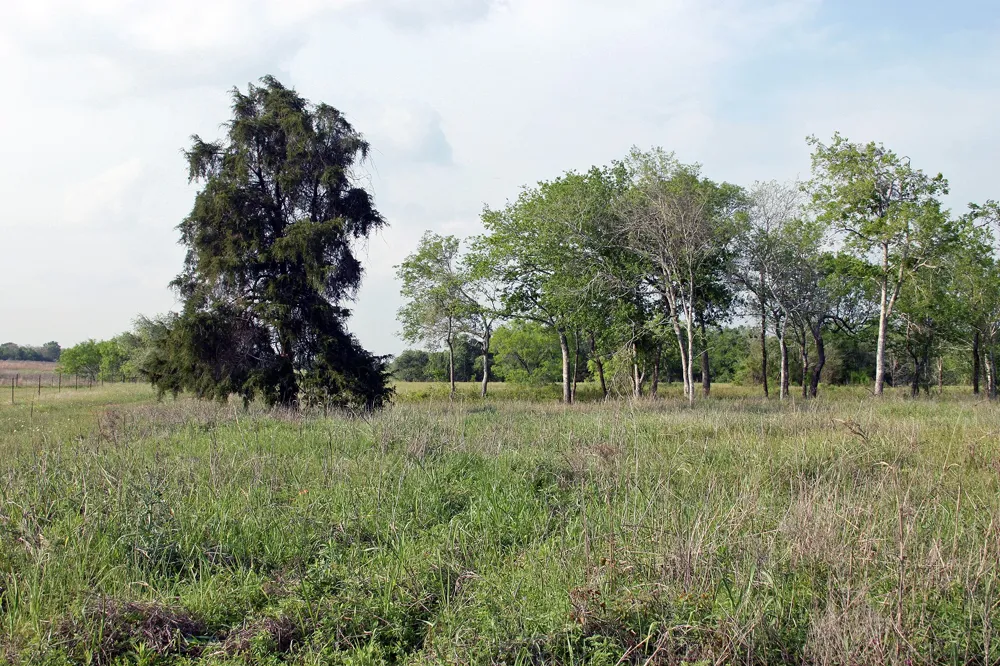 3223 Old Kelley Road Lockhart, TX 78644