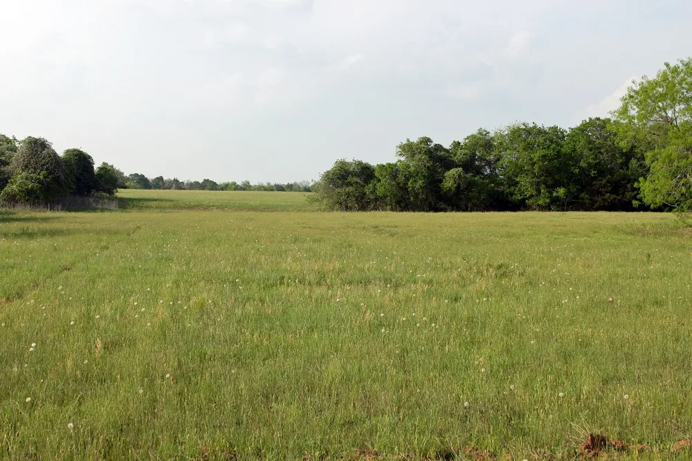 3223 Old Kelley Road Lockhart, TX 78644