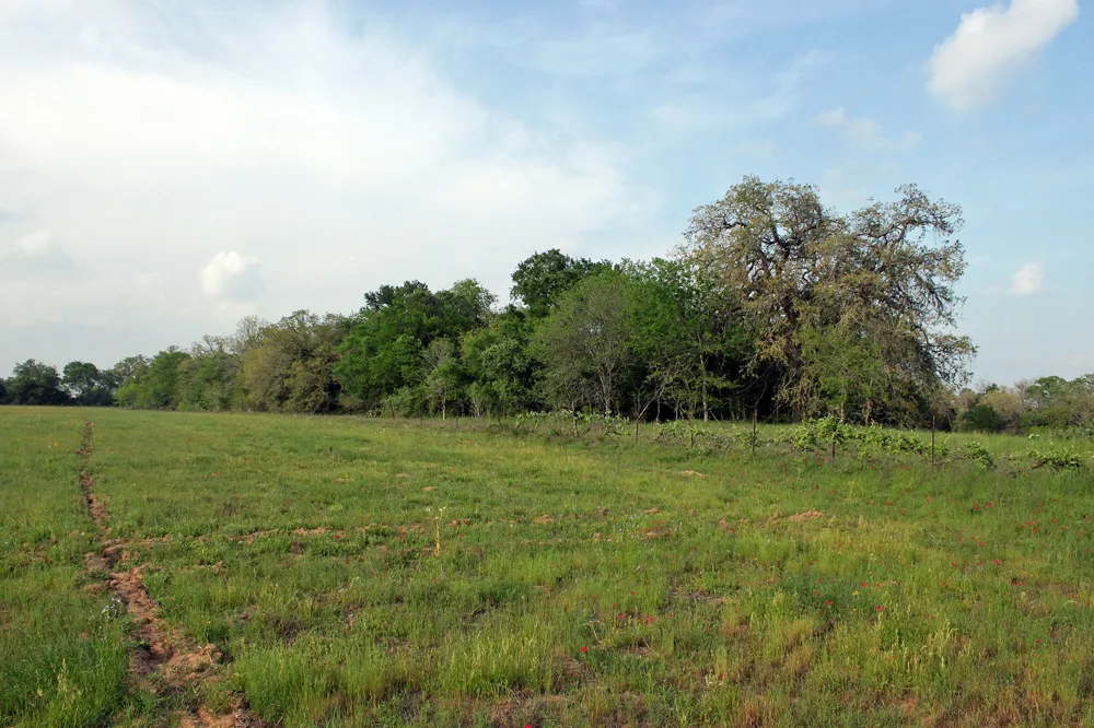 3223 Old Kelley Road Lockhart, TX 78644