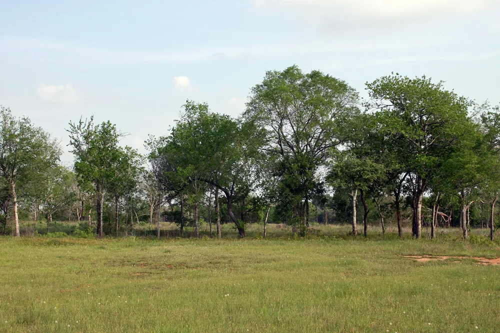 3223 Old Kelley Road Lockhart, TX 78644