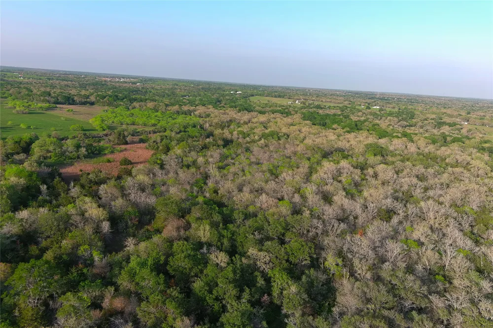 3223 Old Kelley Road Lockhart, TX 78644