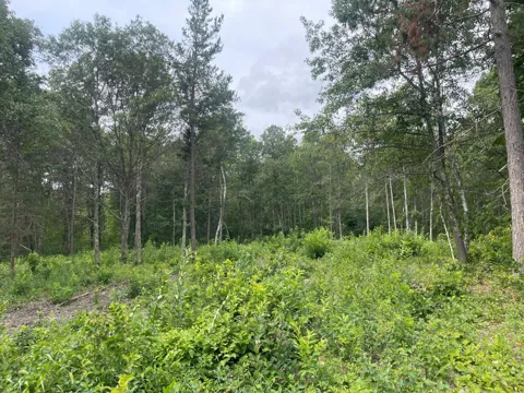 Lot 4 Patriot Ave