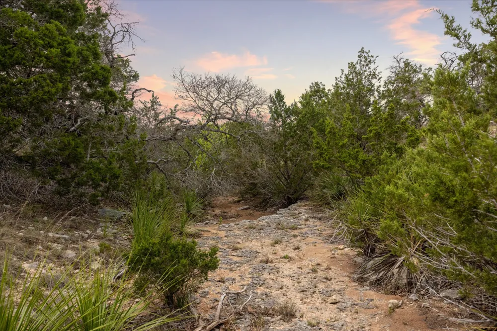 45 Falling Oak Drive Blanco, TX 78606