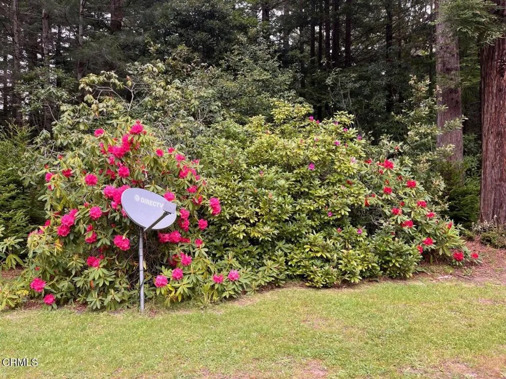 19701 Noyo Acres Drive Fort Bragg, CA 95437