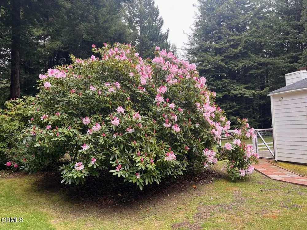 19701 Noyo Acres Drive Fort Bragg, CA 95437