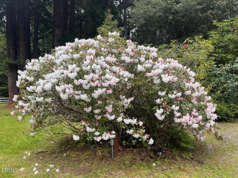 19701 Noyo Acres Drive Fort Bragg, CA 95437