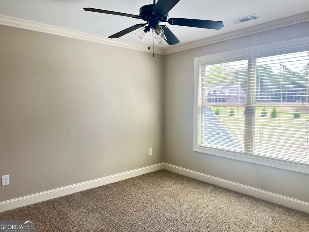 1810 Beebalm DR Statham, GA 30666