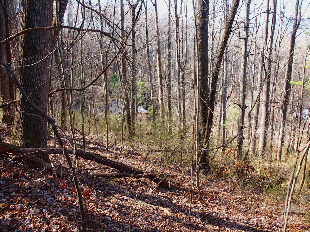 00 Bob Wood Drive Canton, NC 28716