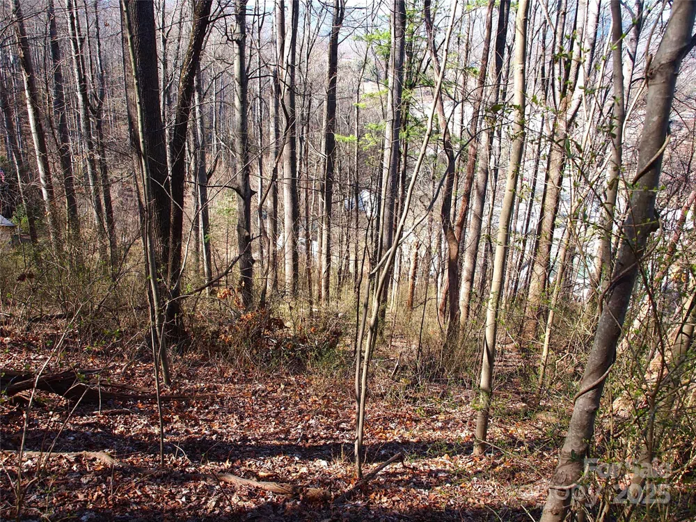 00 Bob Wood Drive Canton, NC 28716
