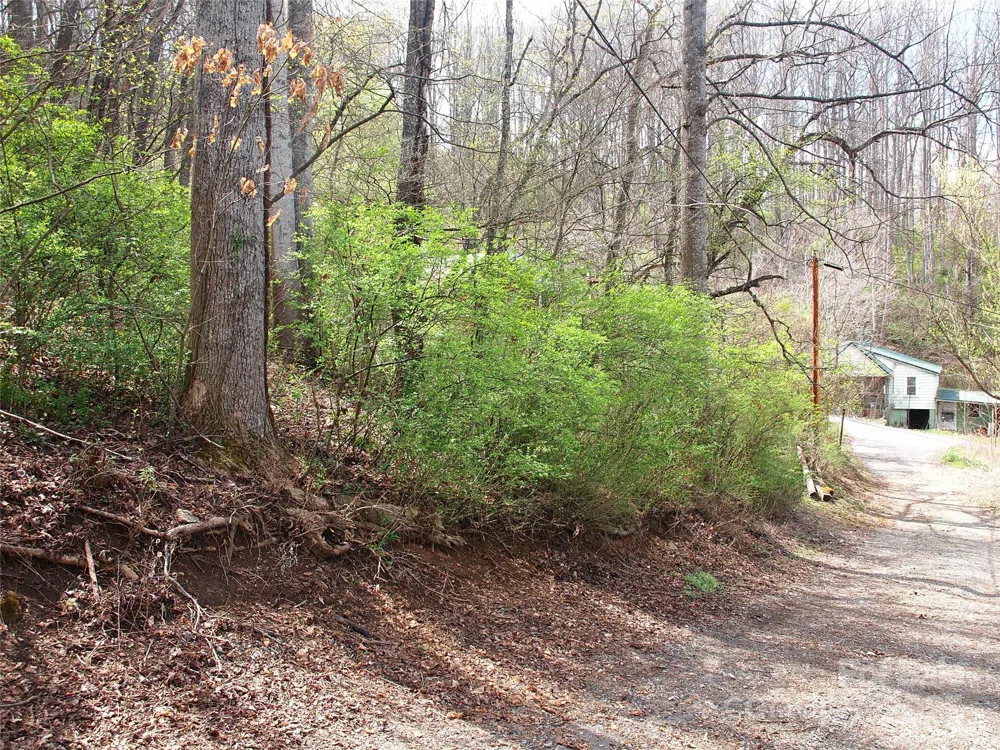 00 Bob Wood Drive Canton, NC 28716
