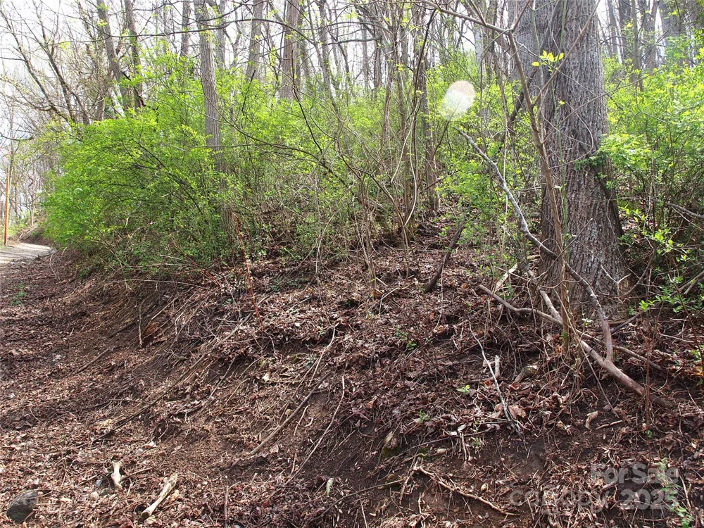 00 Bob Wood Drive Canton, NC 28716