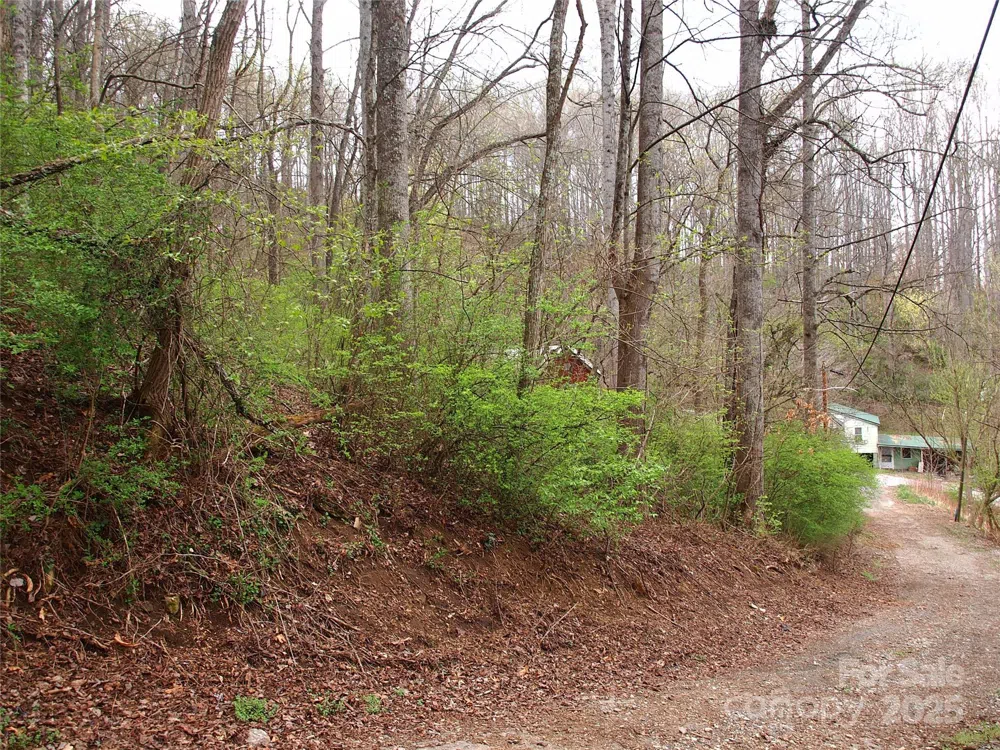 00 Bob Wood Drive Canton, NC 28716