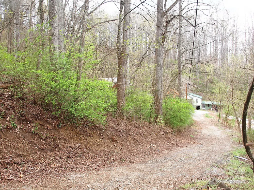 00 Bob Wood Drive Canton, NC 28716