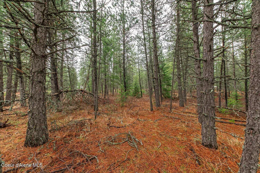 113060 ID-54 Spirit Lake, ID 83869