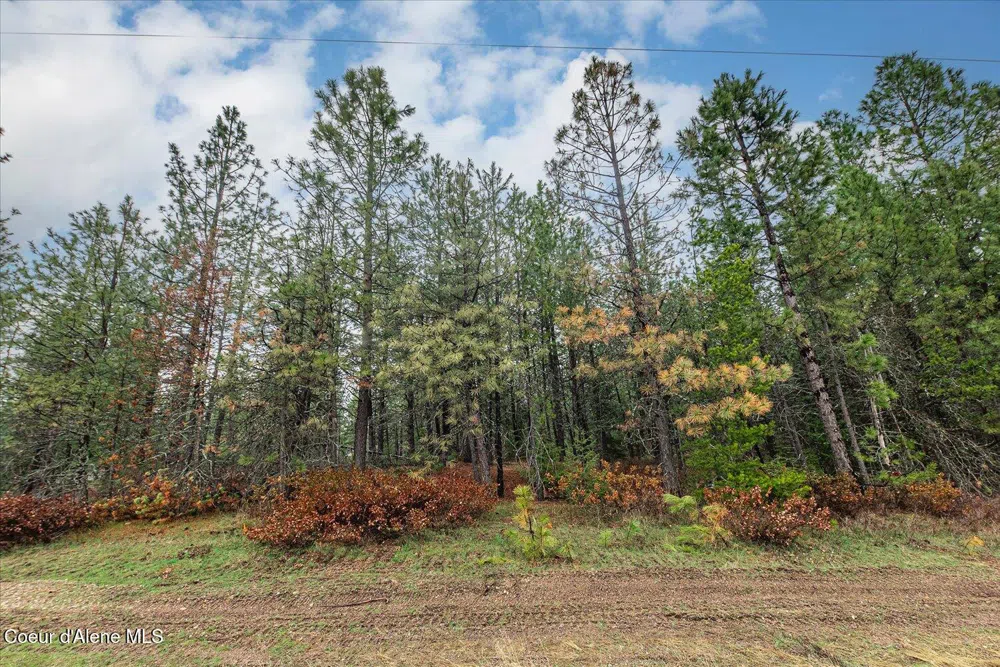 113060 ID-54 Spirit Lake, ID 83869